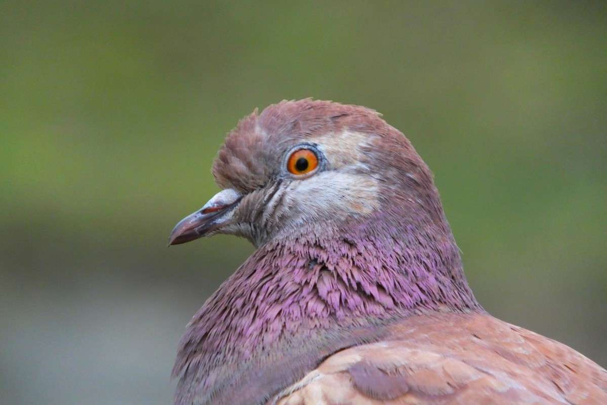 ... ����� �����  �� PhotoGeek.ru #�������� ��� #�������