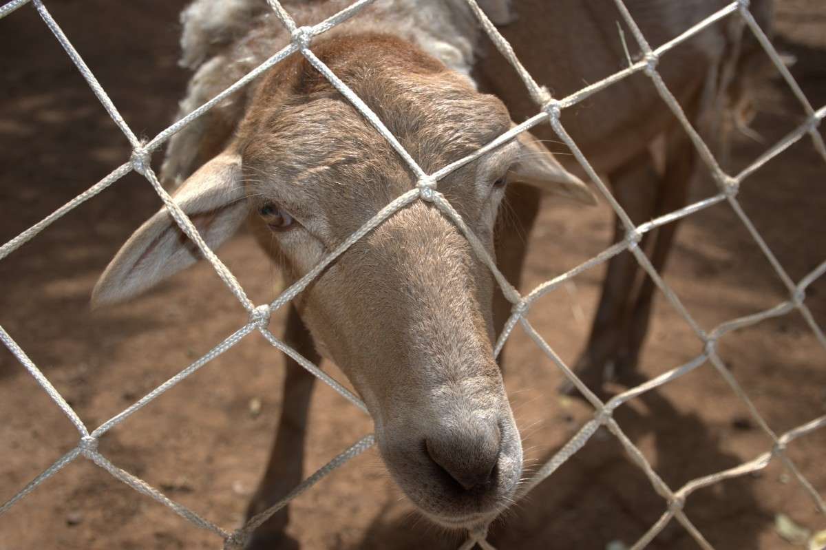 ... ����� �����  �� PhotoGeek.ru #�������� ��� #�������