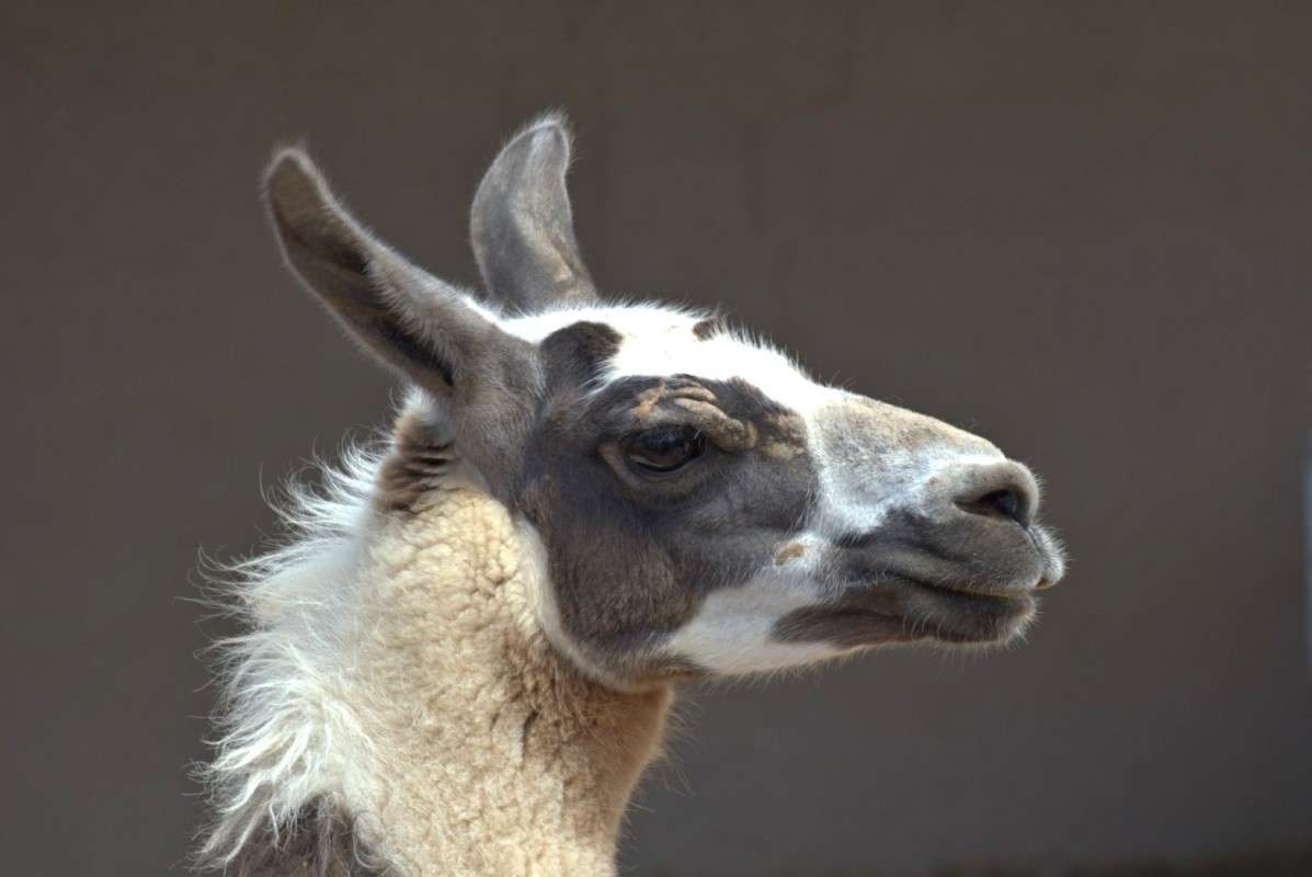 ... ����� �����  �� PhotoGeek.ru #�������� ��� #�������