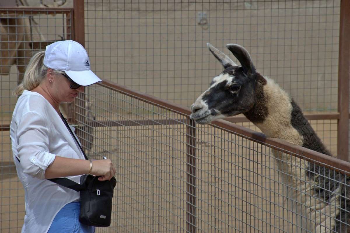 ��� ��������? ����� �����  �� PhotoGeek.ru #�������� ��� #�������