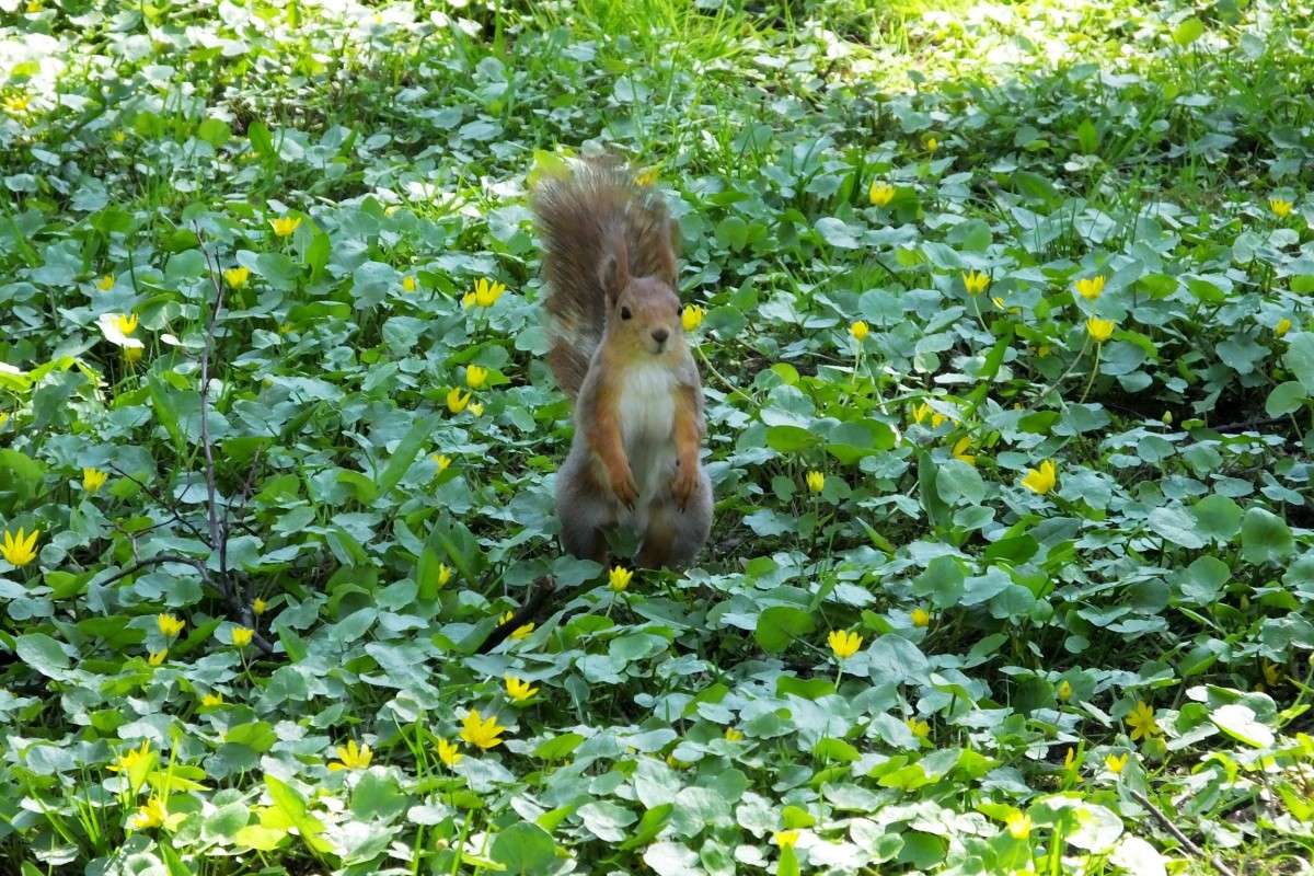 ... ����� �����  �� PhotoGeek.ru #�������� ���