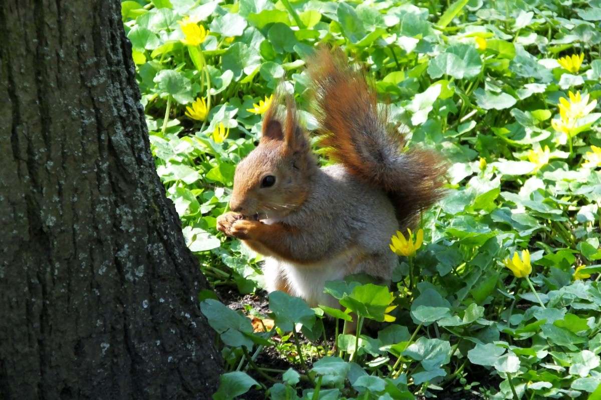 ... ����� �����  �� PhotoGeek.ru #�������� ���