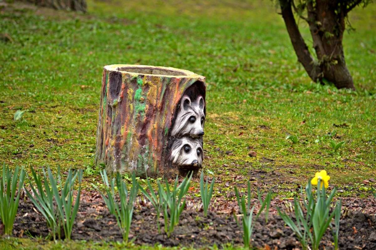 ... ����� �����  �� PhotoGeek.ru #������ ��� �������