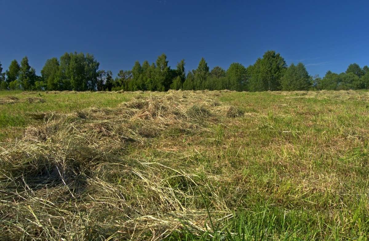 ... ����� �����  �� PhotoGeek.ru #������ ��� �������