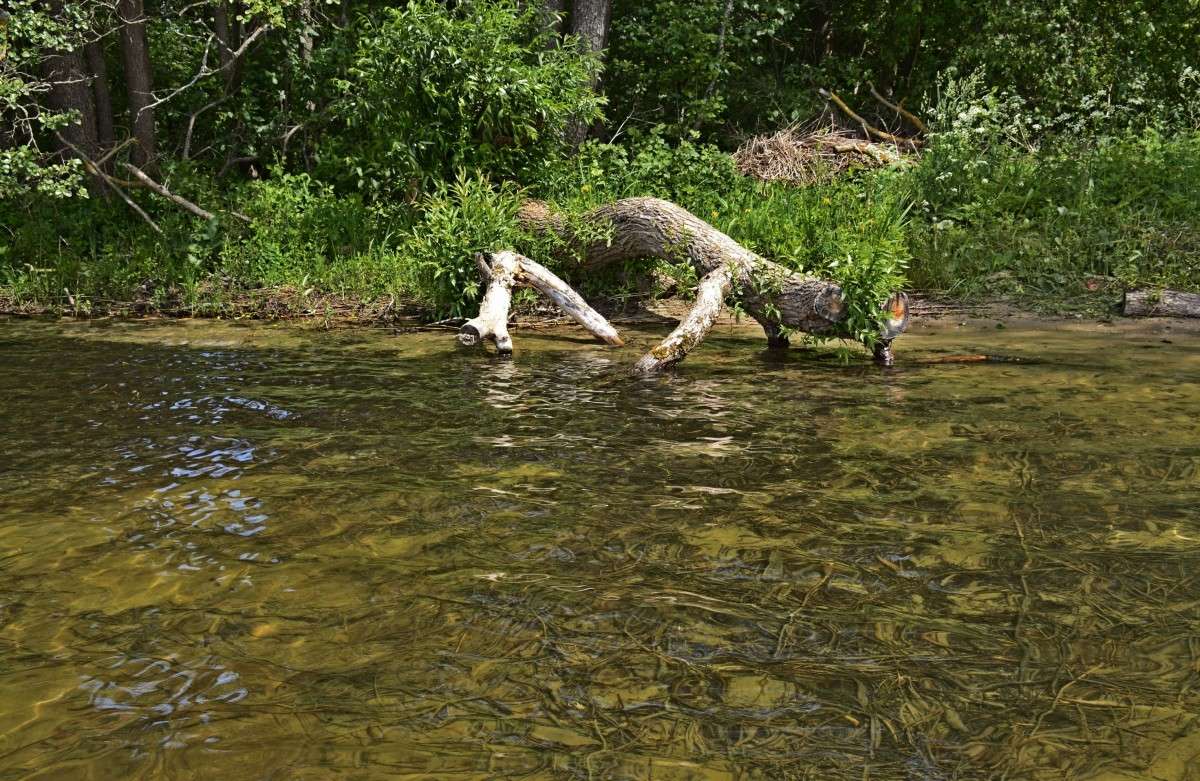 � ������ ����� �����  �� PhotoGeek.ru #������ ��� �������