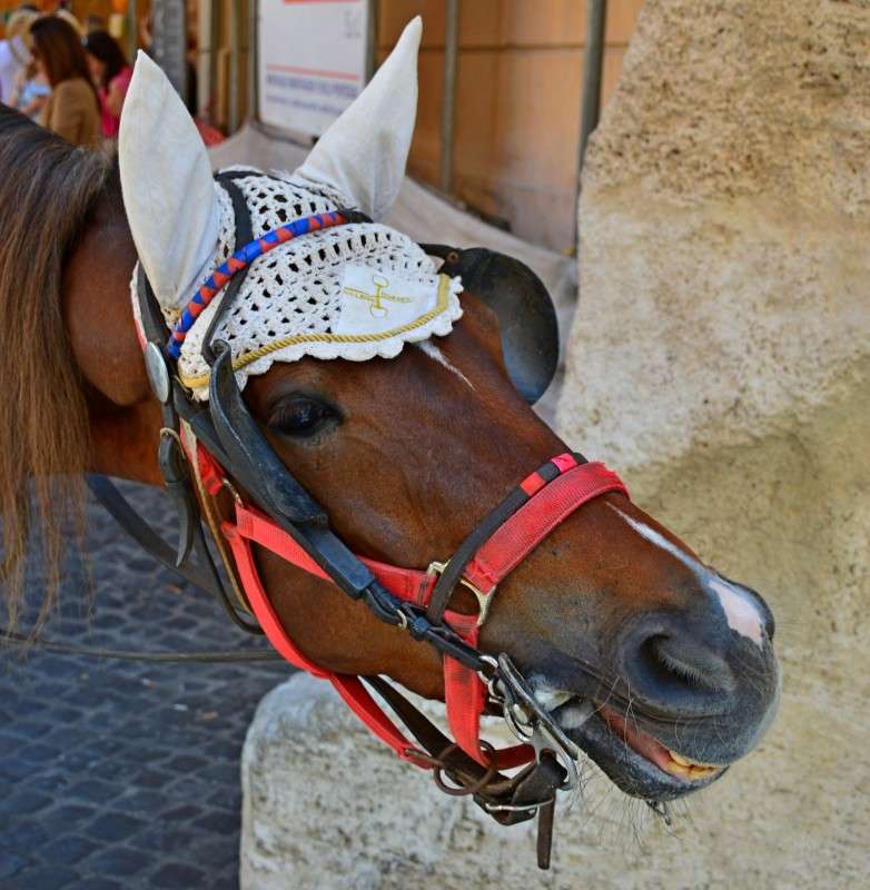 ... ����� �����  �� PhotoGeek.ru #�������� ���