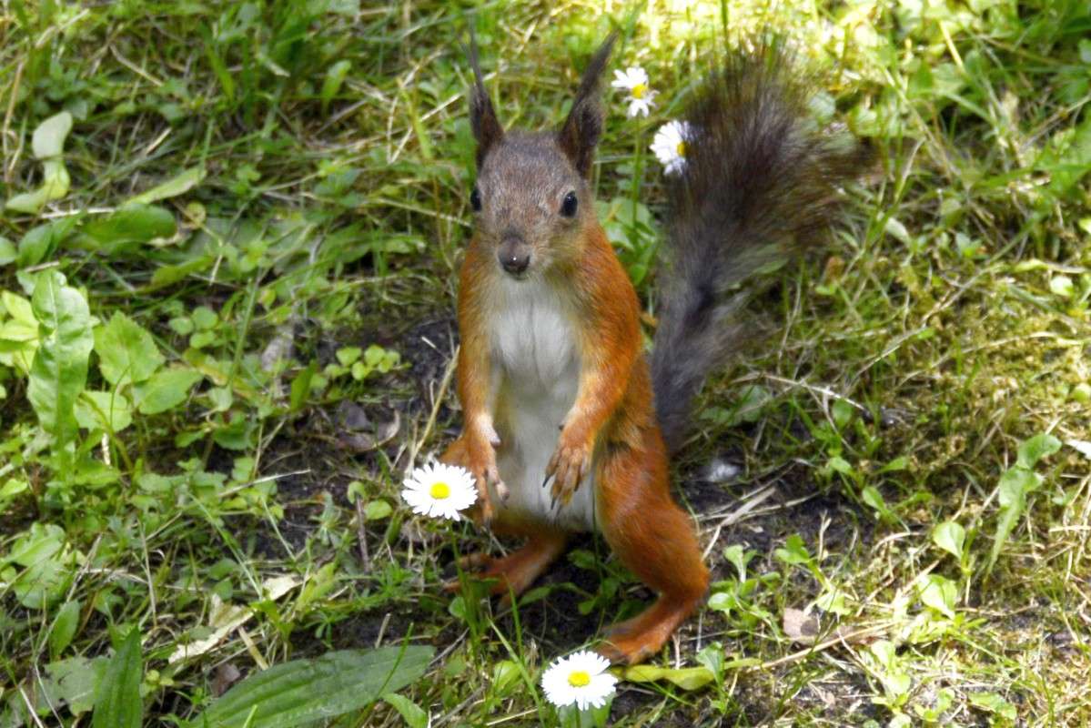 ... ����� �����  �� PhotoGeek.ru #�������� ��� #������ ��� �������