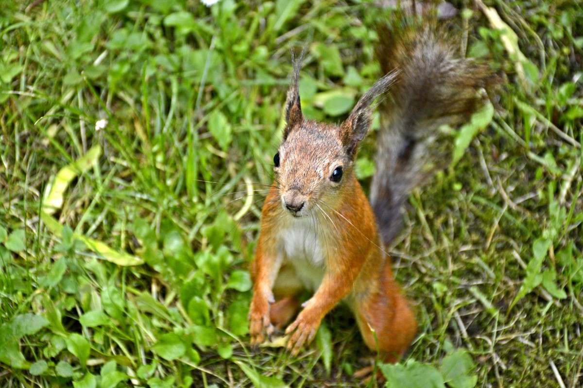 � ����� ����� �����  �� PhotoGeek.ru #�������� ��� #����� ��� ��� ���������