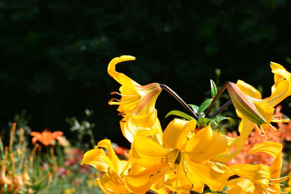 ����� � ������������ ����. ����� �����  �� PhotoGeek.ru #������ ��� ������� #����� ��������������