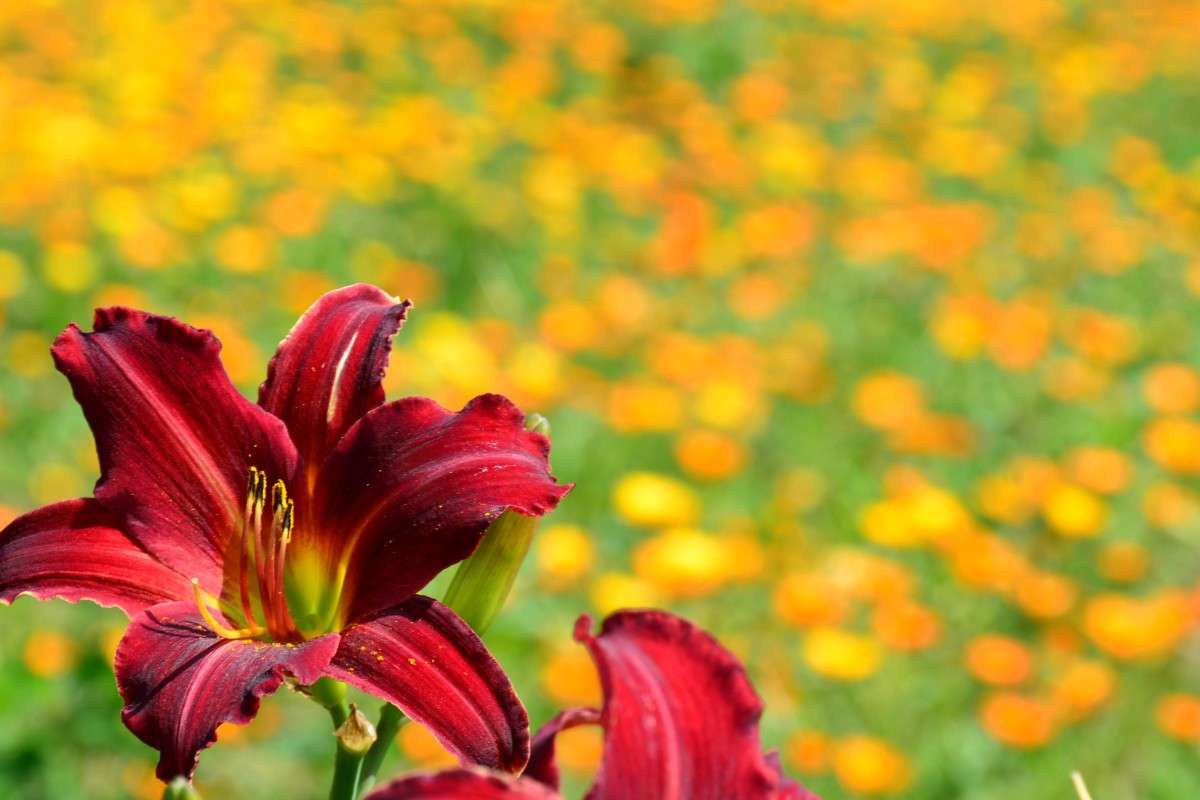 ... ����� �����  �� PhotoGeek.ru #������ ��� ������� #����� ��������������