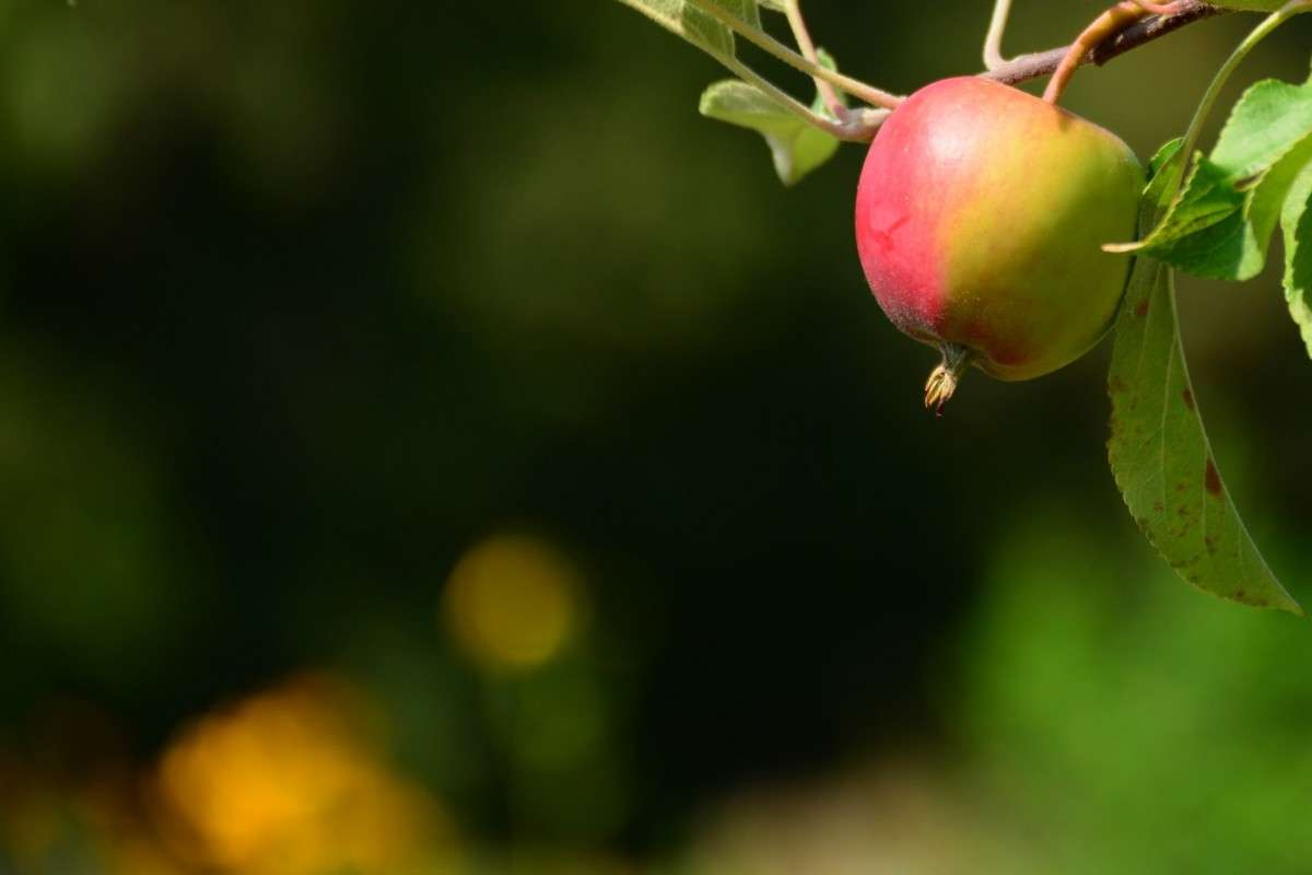 ... ����� �����  �� PhotoGeek.ru #������ ��� ������� #����� �������������� #����� ��������