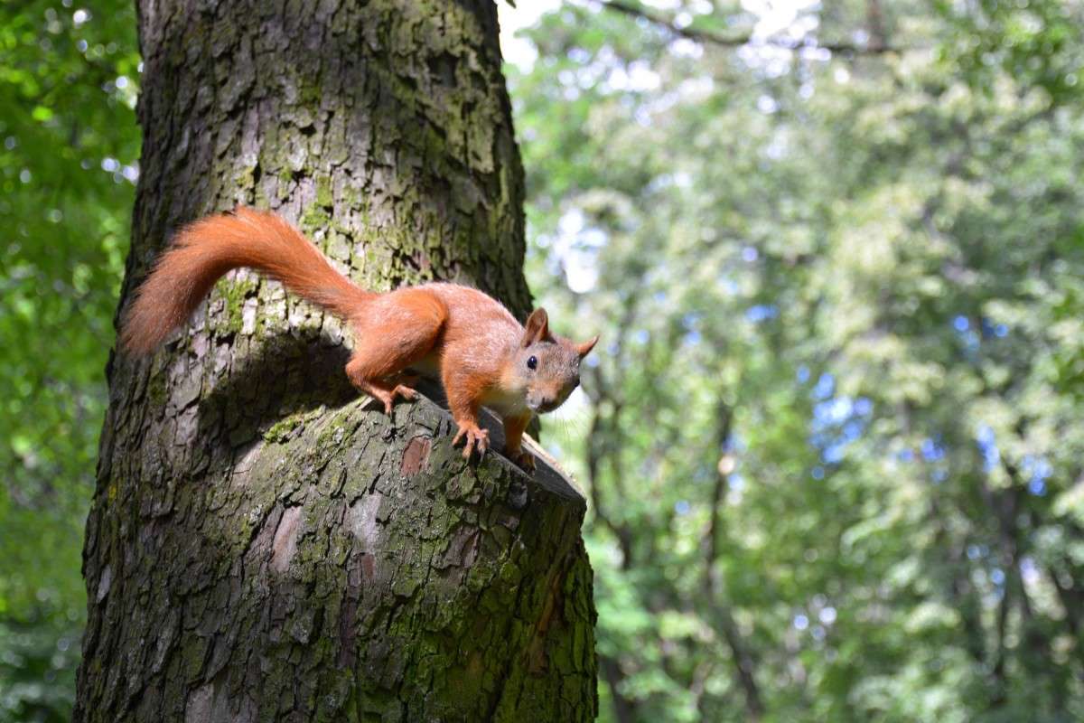 ... ����� �����  �� PhotoGeek.ru #����� #�������� ��� #����� ��� ��� ���������