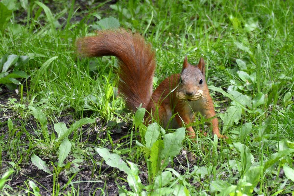 ... ����� �����  �� PhotoGeek.ru #�������� ��� #������ ��� ������� #����� ��� ��� ��������� #����� ��������