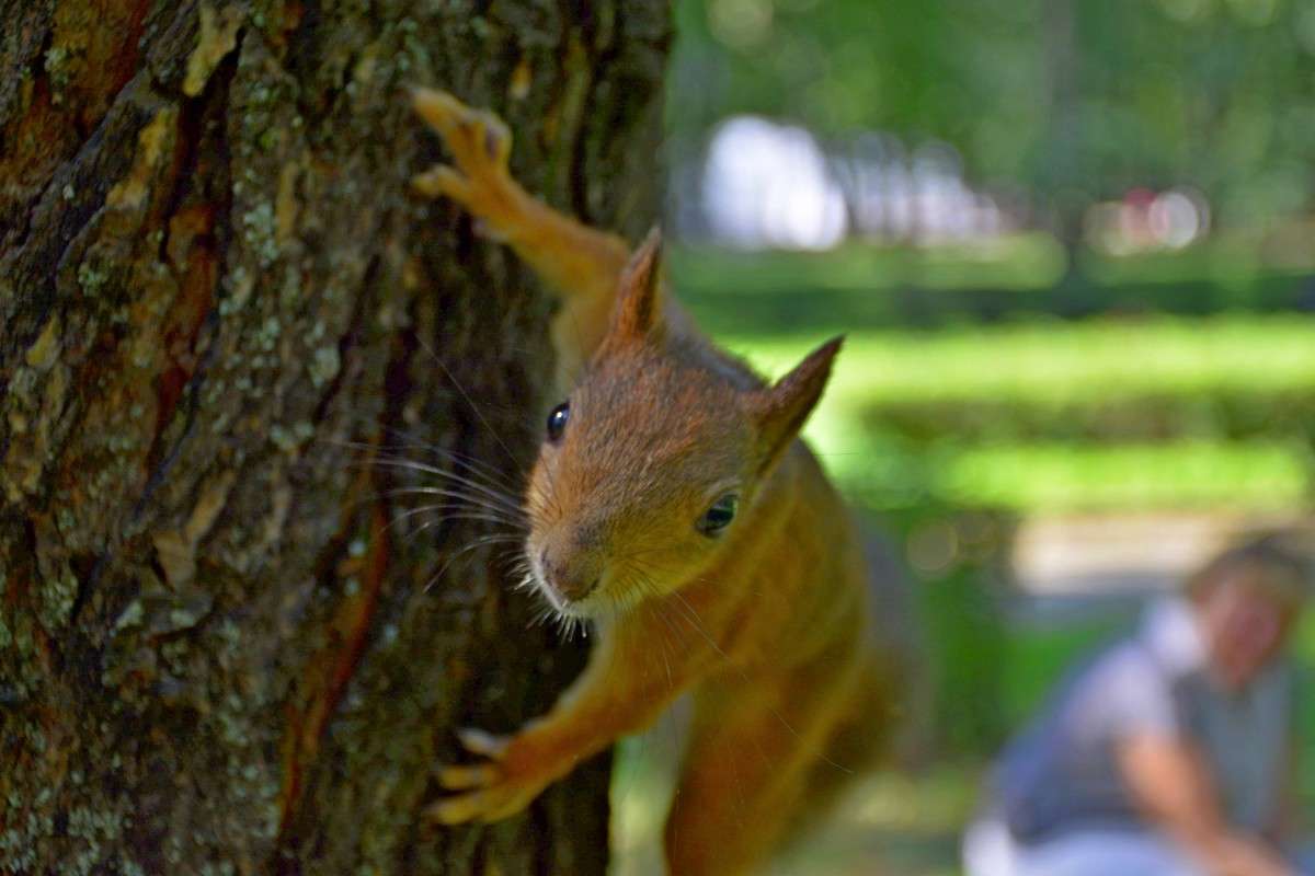 ����� ������? ����� �����  �� PhotoGeek.ru #�������� ��� #����� ��� ��� ���������