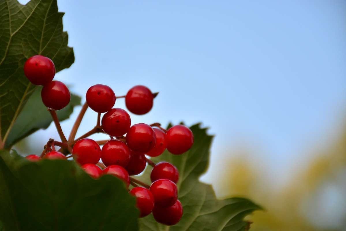 ... ����� �����  �� PhotoGeek.ru #������ ��� ������� #����� ��������������