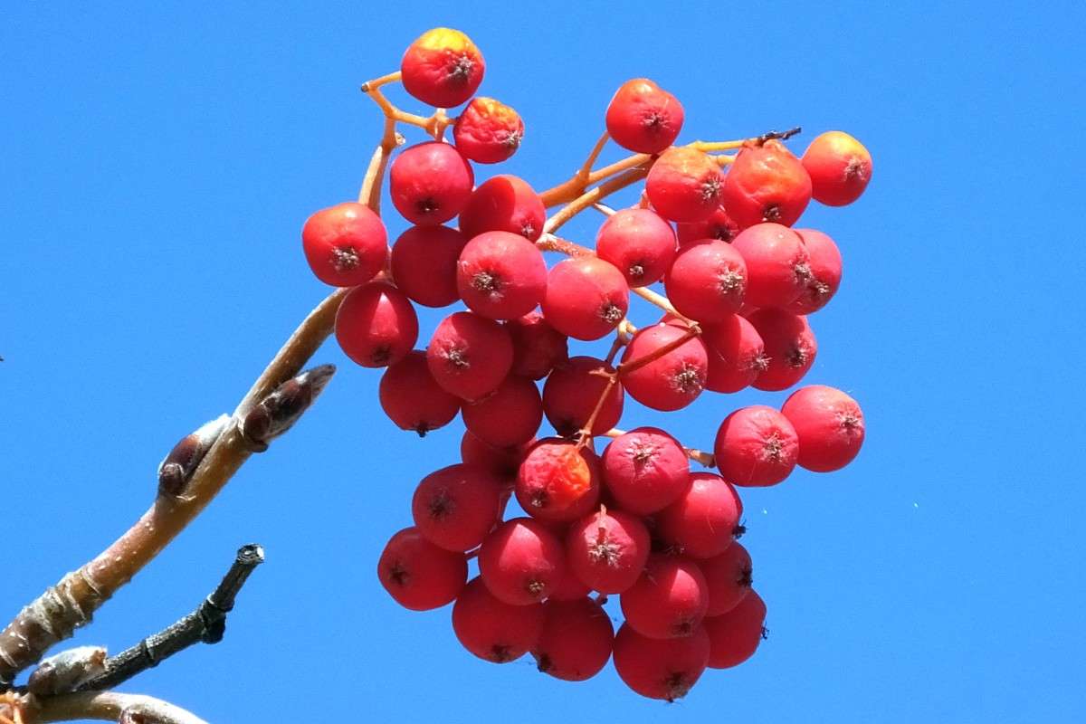 ... ����� �����  �� PhotoGeek.ru #������ ��� ������� #����� ��������������