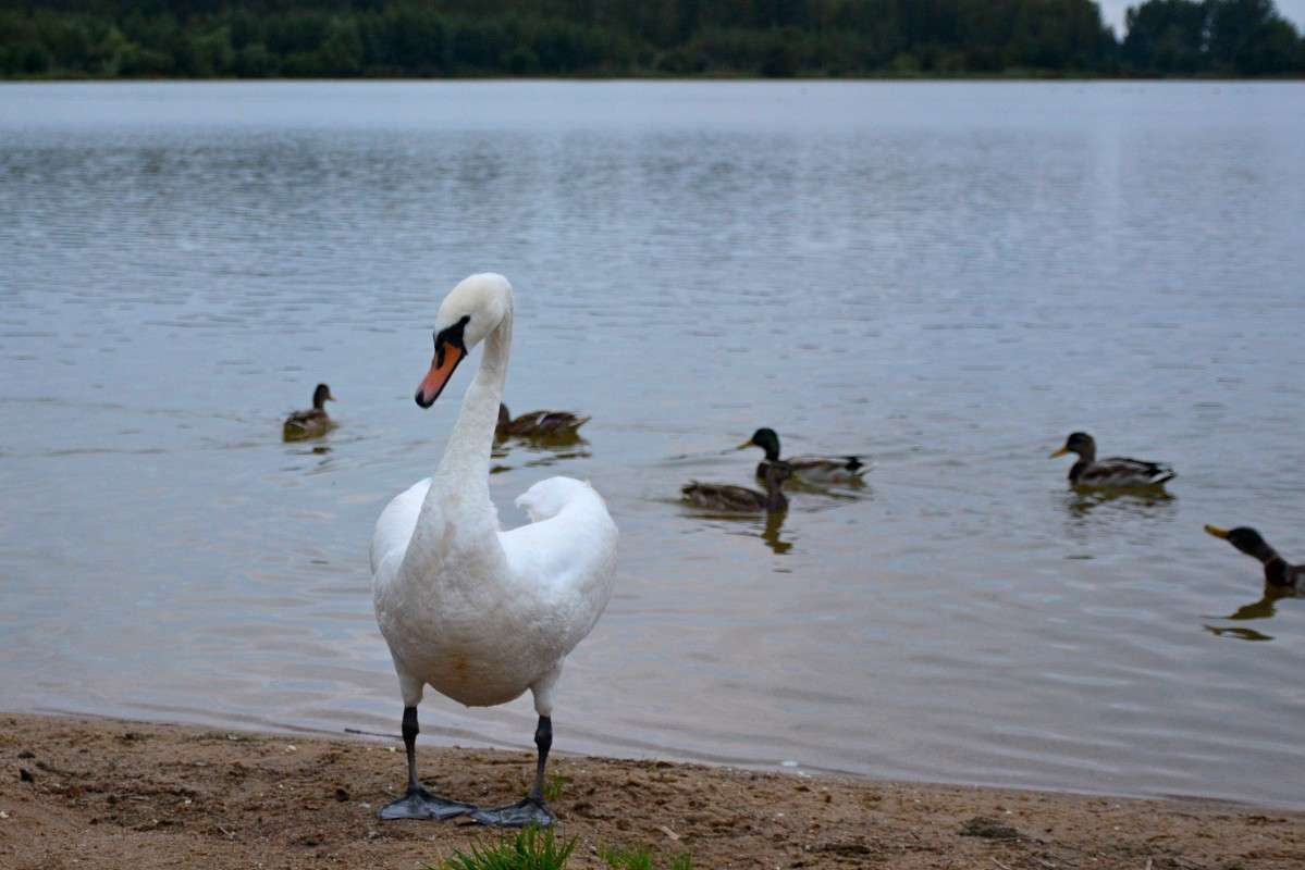 ... ����� �����  �� PhotoGeek.ru #�������� ���