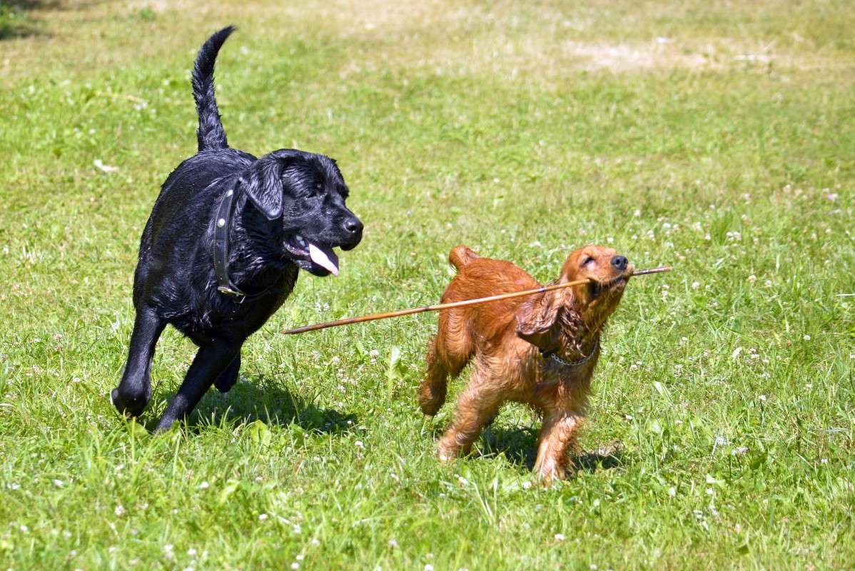 ��������. ����� �����  �� PhotoGeek.ru #�������� ��� #������ ��� ������� #�������� ����������