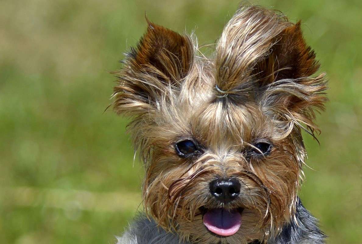 ������ ����� �����  �� PhotoGeek.ru #�������� ��� #�������