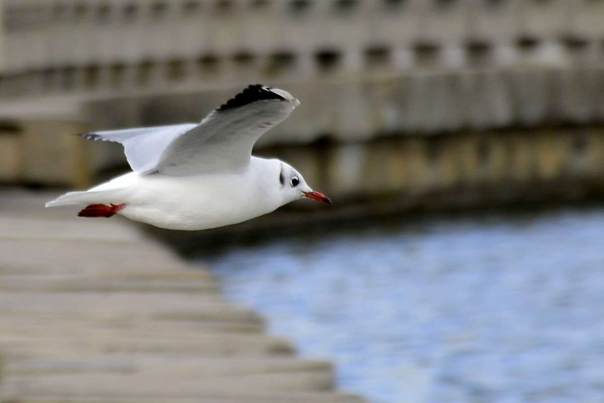 ... ����� �����  �� PhotoGeek.ru #����� #�������� ��� #������� #����� ��� ��� ���������