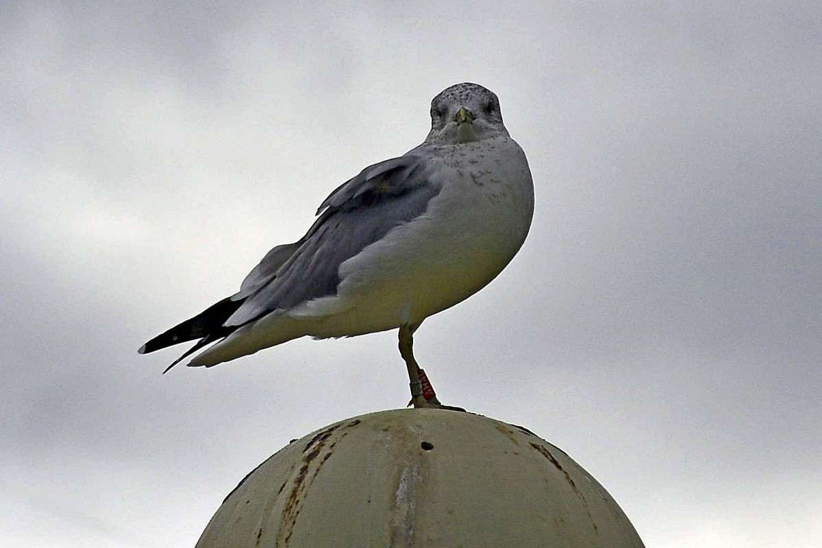 ����� ����� �����  �� PhotoGeek.ru #�������� ��� #�������