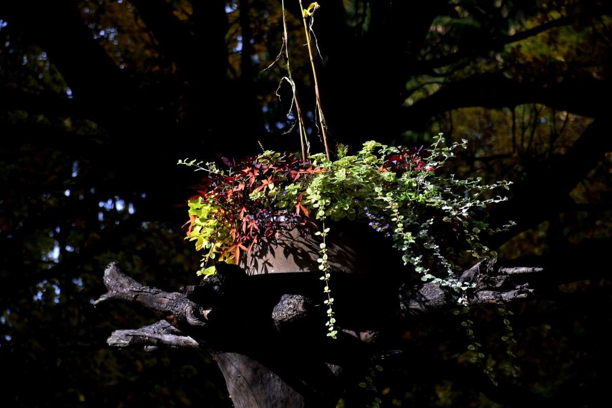 ... ����� �����  �� PhotoGeek.ru #������ ��� ������� #����� ��������������