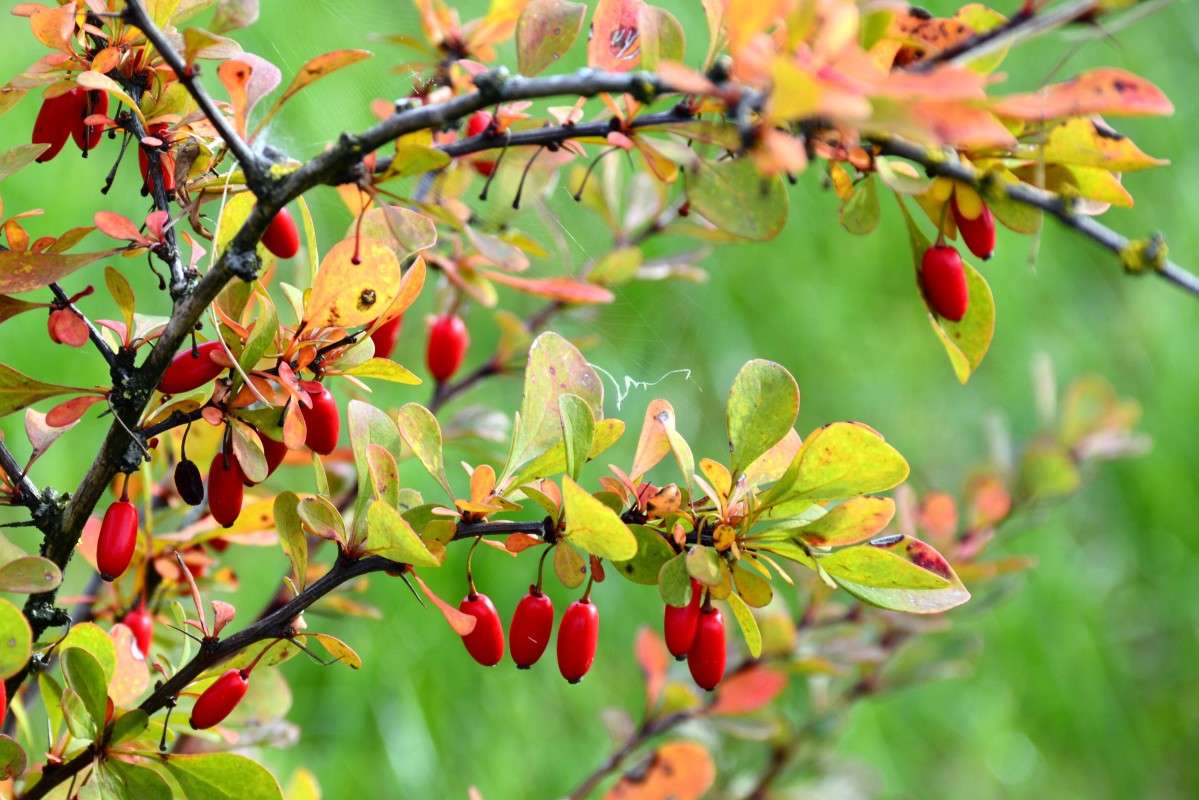 ... ����� �����  �� PhotoGeek.ru #������ ��� ������� #����� ��������������