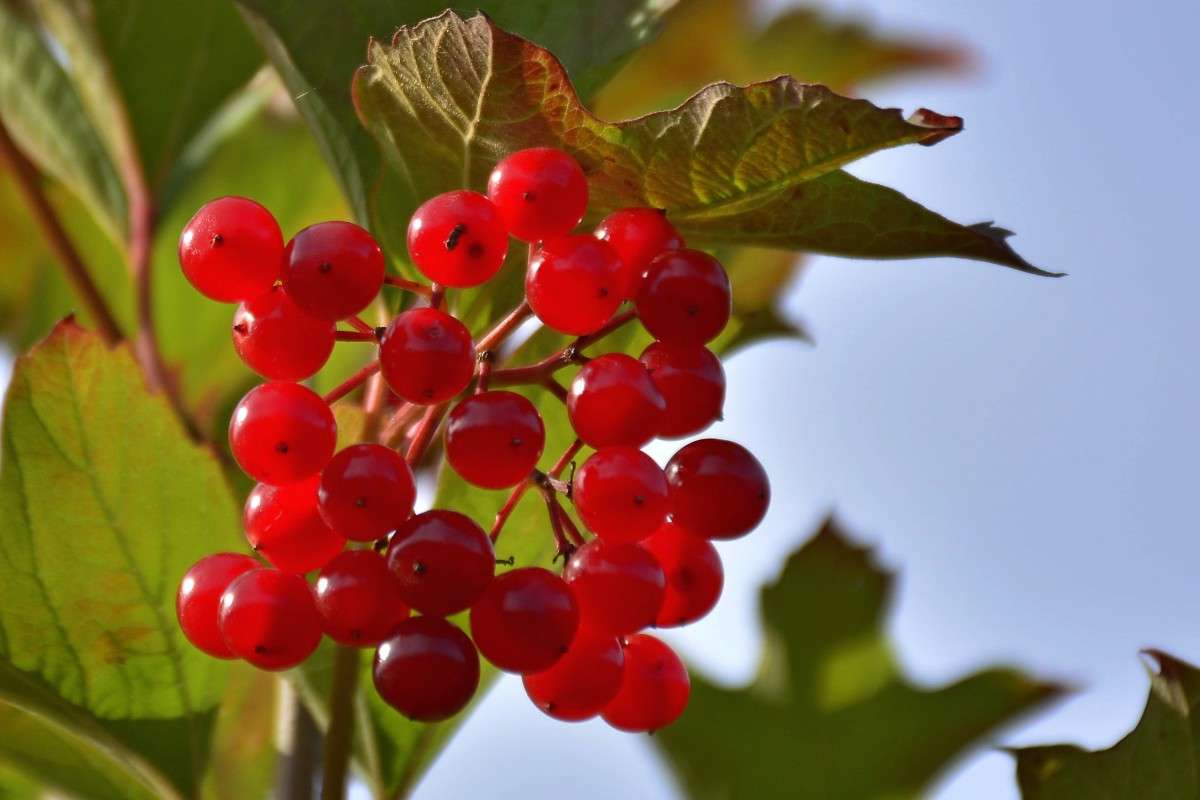 ������ ����� �����  �� PhotoGeek.ru #������ ��� ������� #����� ��������������