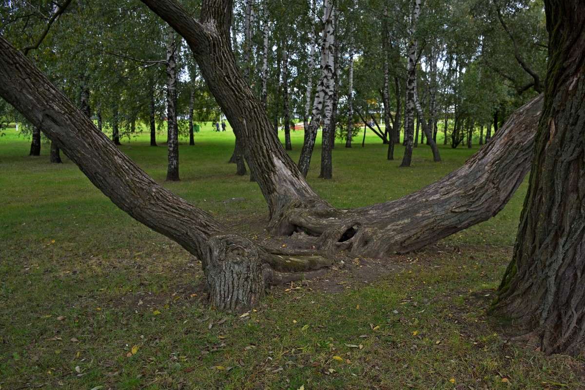 ... ����� �����  �� PhotoGeek.ru #����� #������ ��� �������