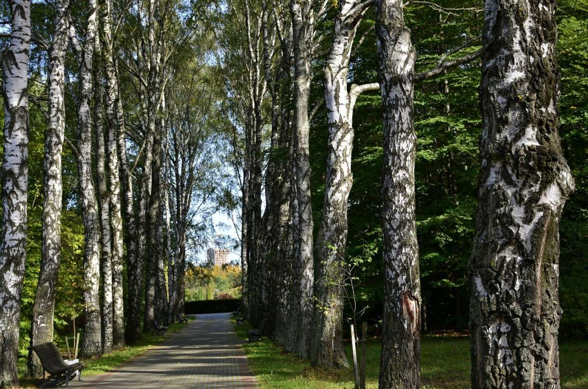 ... ����� �����  �� PhotoGeek.ru #������ ��� �������