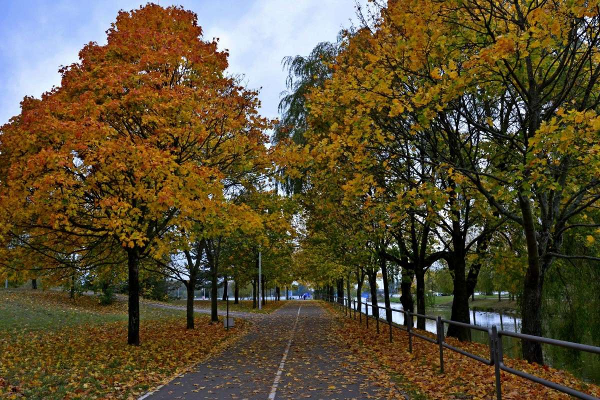 ... ����� �����  �� PhotoGeek.ru #������ ��� �������