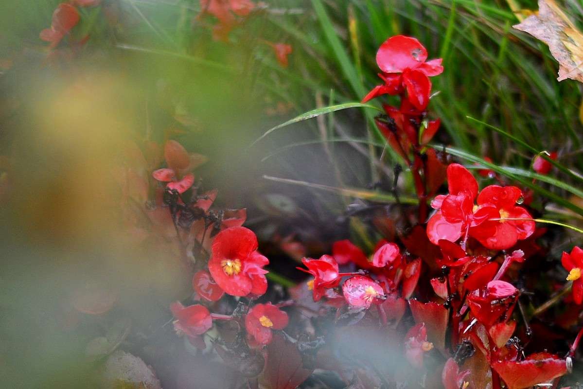 �� ������ ����� �����  �� PhotoGeek.ru #����� #������ ��� �������