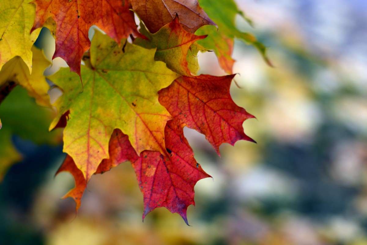 ... ����� �����  �� PhotoGeek.ru #������ ��� ������� #����� ��������������