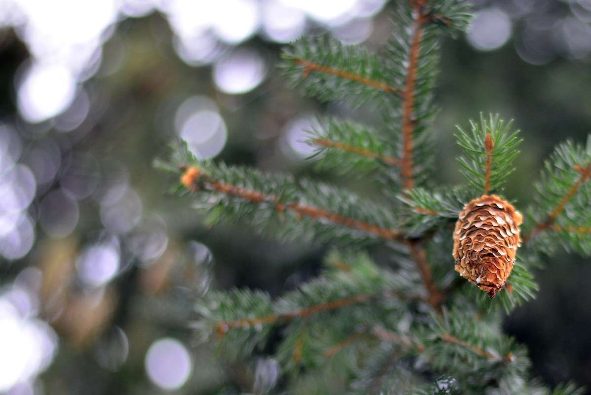 ... ����� �����  �� PhotoGeek.ru #������ ��� �������