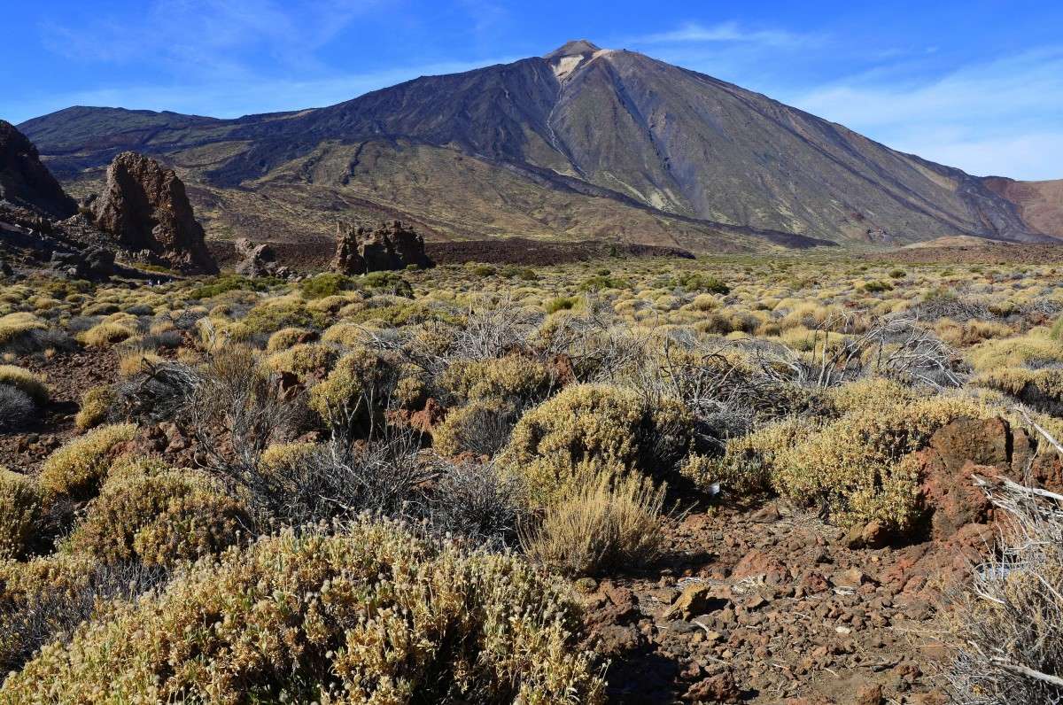 ��� �� ������ ����� ����� �����  �� PhotoGeek.ru #������ ��� �������