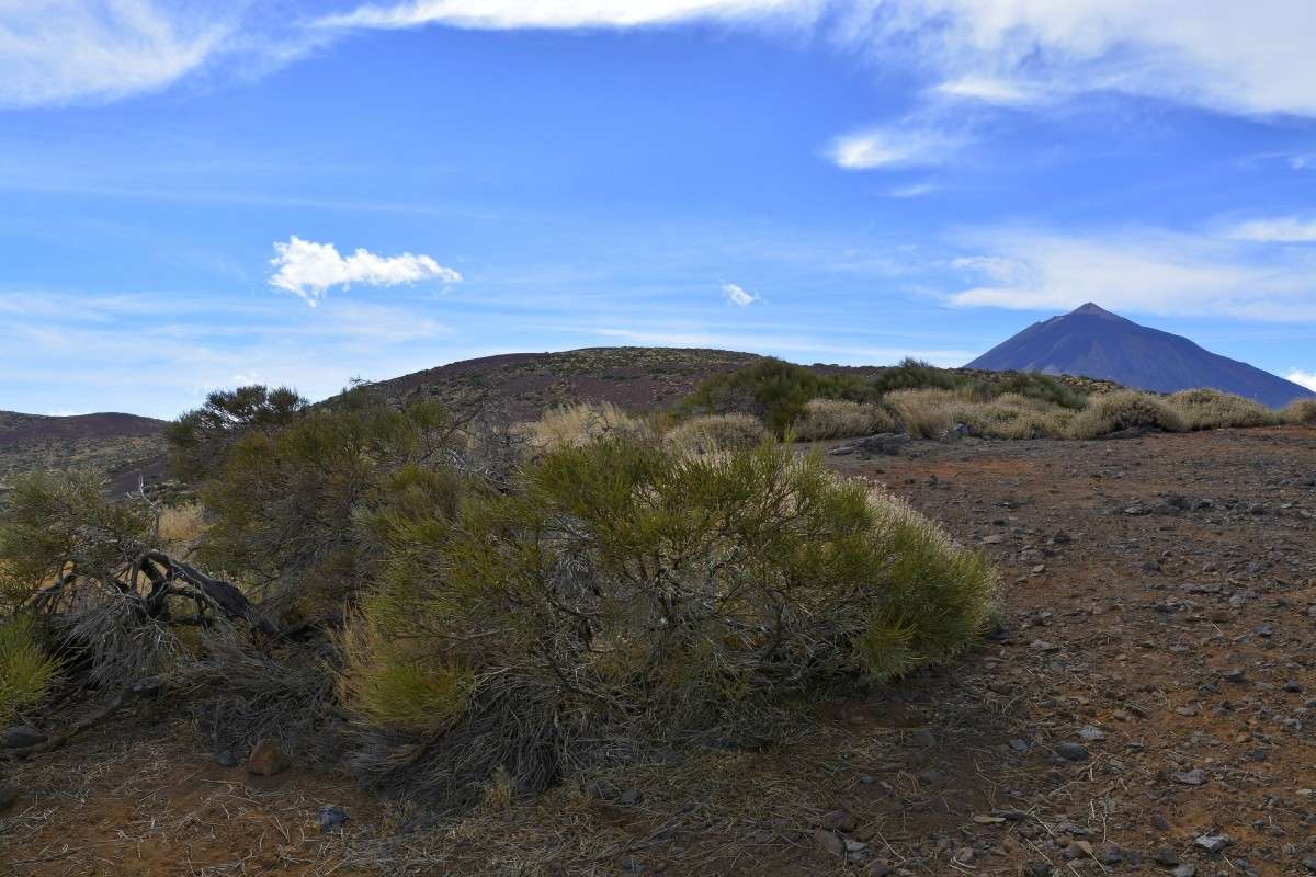 ... ����� �����  �� PhotoGeek.ru #������ ��� ������� #����� ��������������