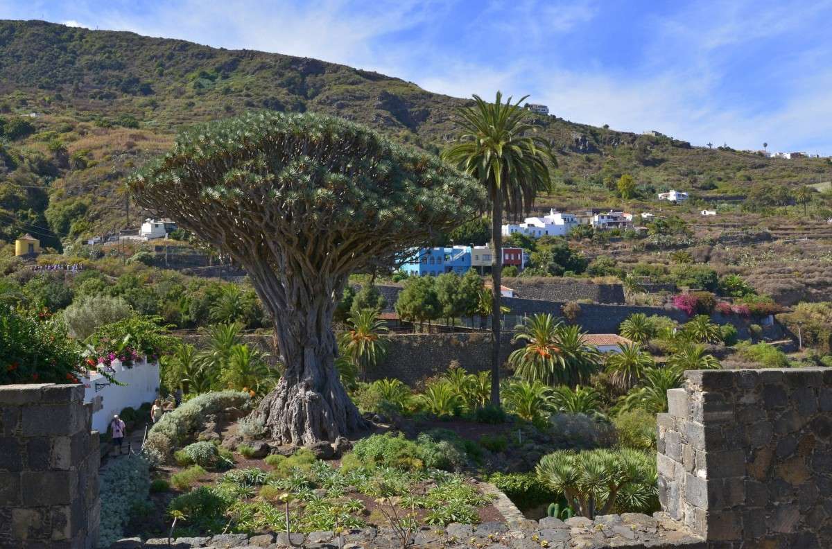 ������ ������.. ����� �����  �� PhotoGeek.ru #������ ��� ������� #����� ��������������