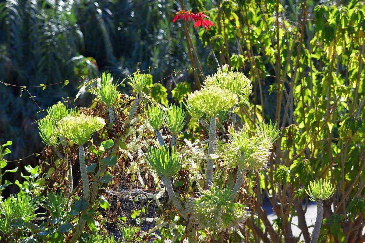 ... ����� �����  �� PhotoGeek.ru #������ ��� ������� #����� ��������������