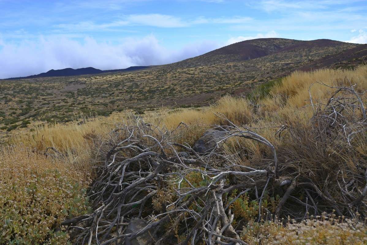 ... ����� �����  �� PhotoGeek.ru #������ ��� ������� #����� ��������������