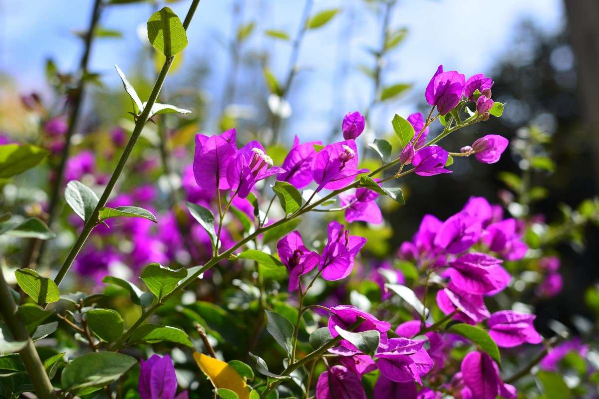 ... ����� �����  �� PhotoGeek.ru #����� ��������������