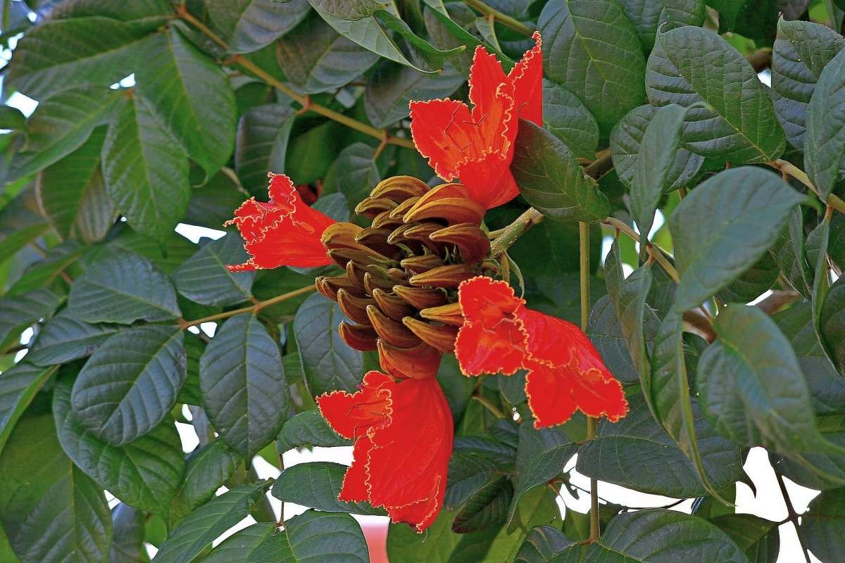 ... ����� �����  �� PhotoGeek.ru #������ ��� ������� #����� ��������������