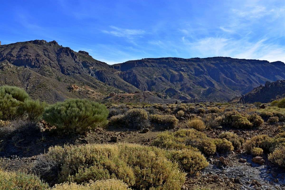 ... ����� �����  �� PhotoGeek.ru #������ ��� �������