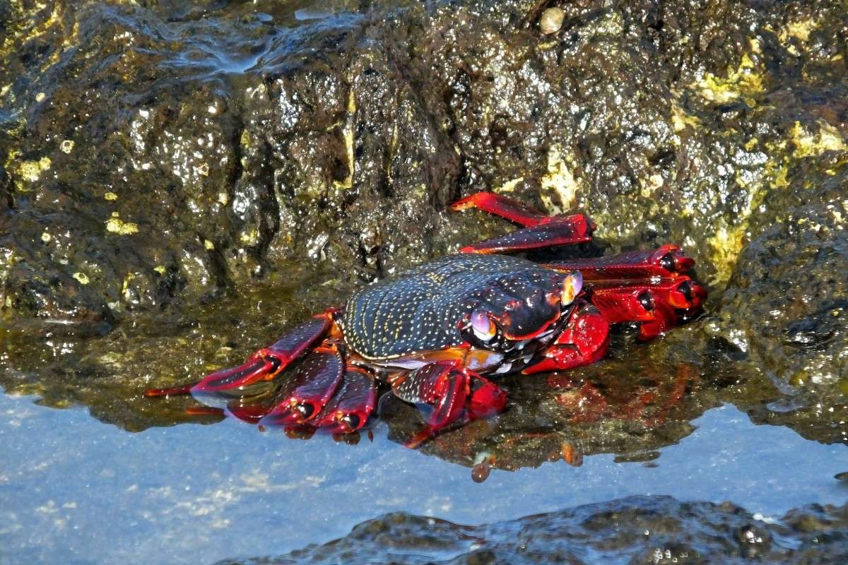 ... ����� �����  �� PhotoGeek.ru #�������� ��� #������� #����� ��� ��� ���������