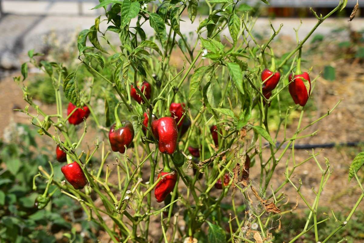 � �� ������� � ������.. ����� �����  �� PhotoGeek.ru #����� ��������������