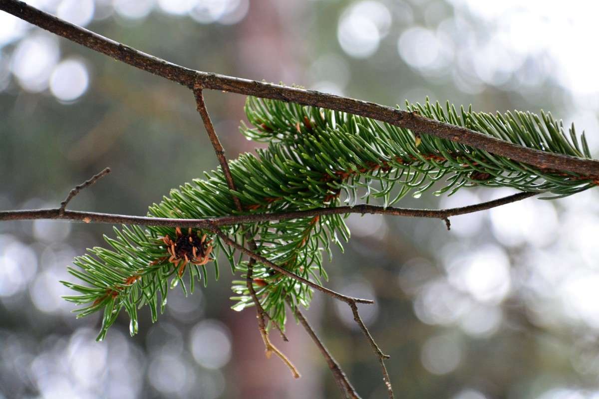 ... ����� �����  �� PhotoGeek.ru #������ ��� �������