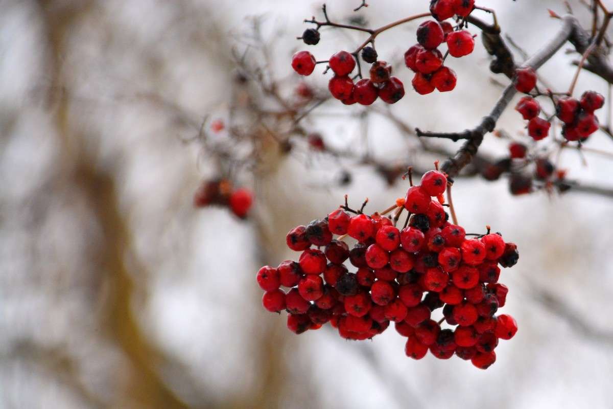 ... ����� �����  �� PhotoGeek.ru #������ ��� �������