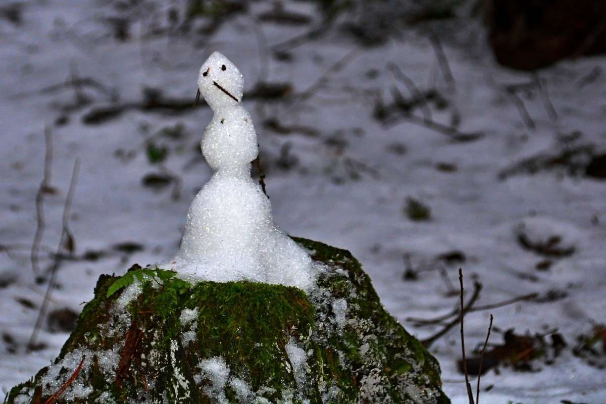 ... ����� �����  �� PhotoGeek.ru #�������