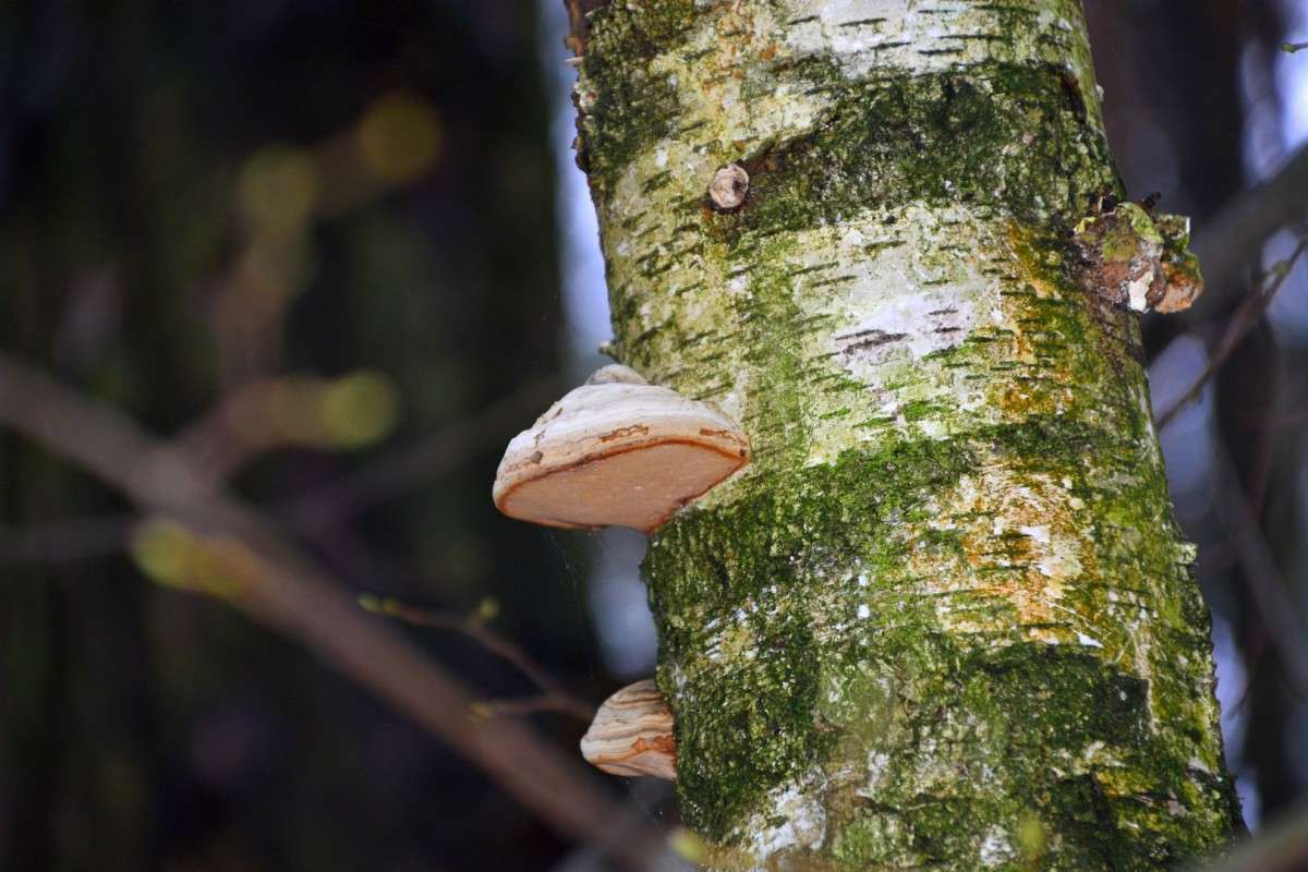 ... ����� �����  �� PhotoGeek.ru #������ ��� ������� #����� ��������������