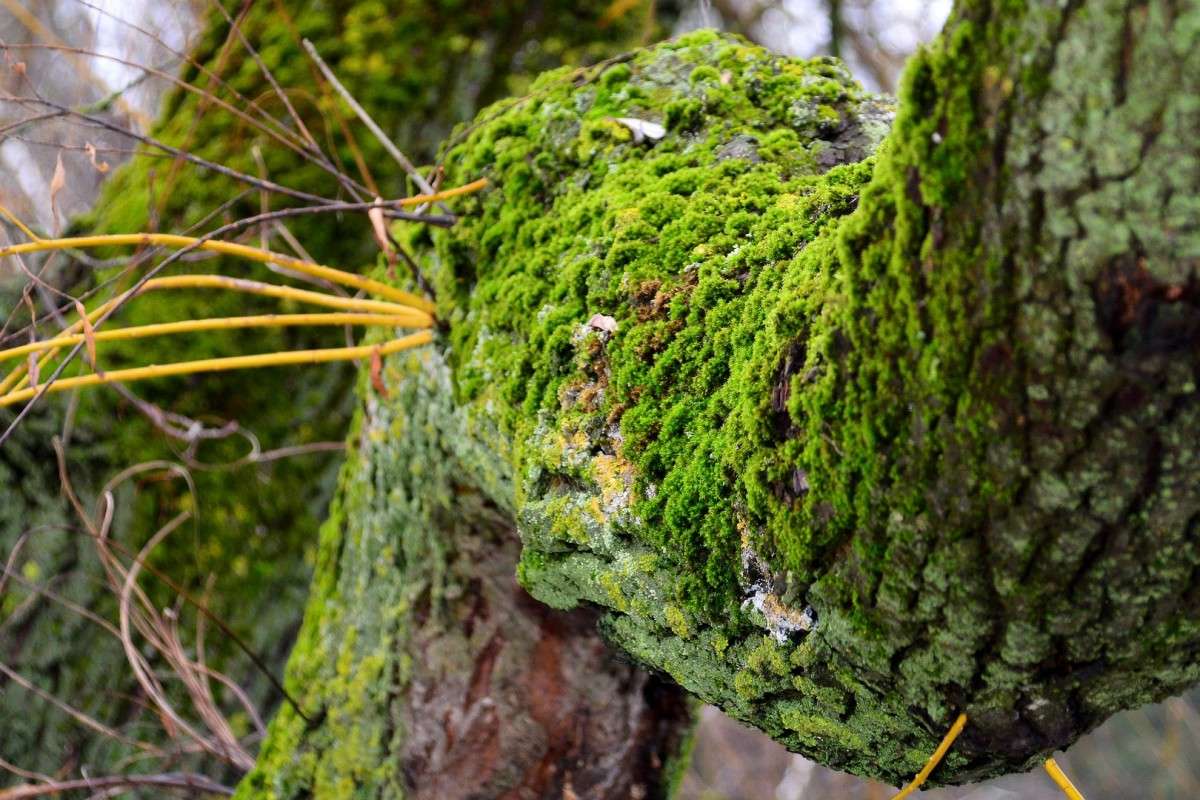 ... ����� �����  �� PhotoGeek.ru #������ ��� ������� #����� ��������������