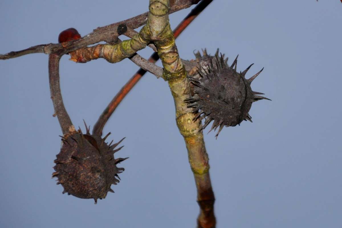 ... ����� �����  �� PhotoGeek.ru #������ ��� �������